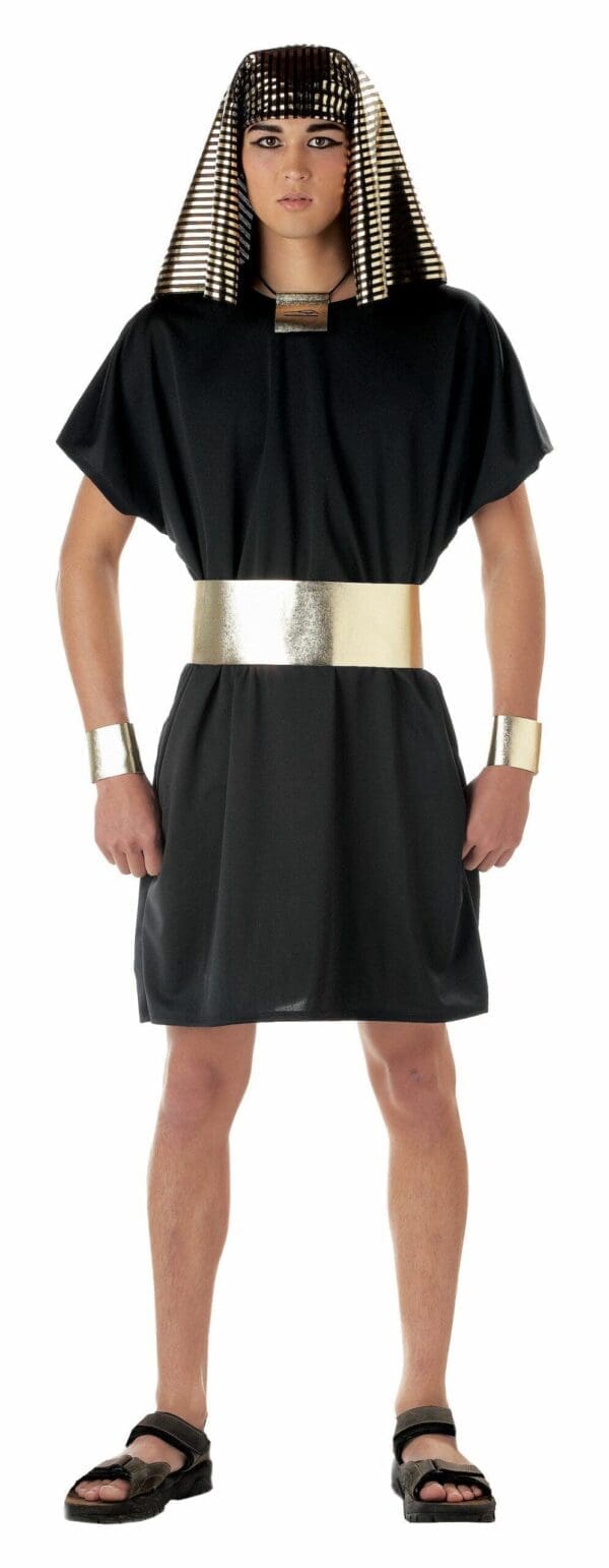 California Costumes Men's Pharaoh Ancient Egyptian King of Nile M Black