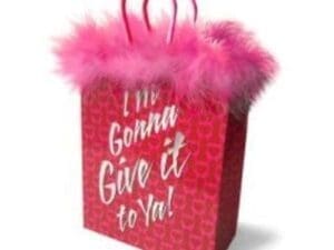 I'm Gonna Give It to Ya! Gift Bag - Novelty Gift Bag