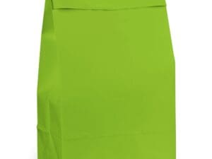 Kiwi Paper Favor Bags (12 Pack)