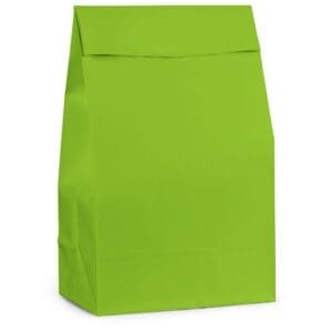 Kiwi Paper Favor Bags (12 Pack)