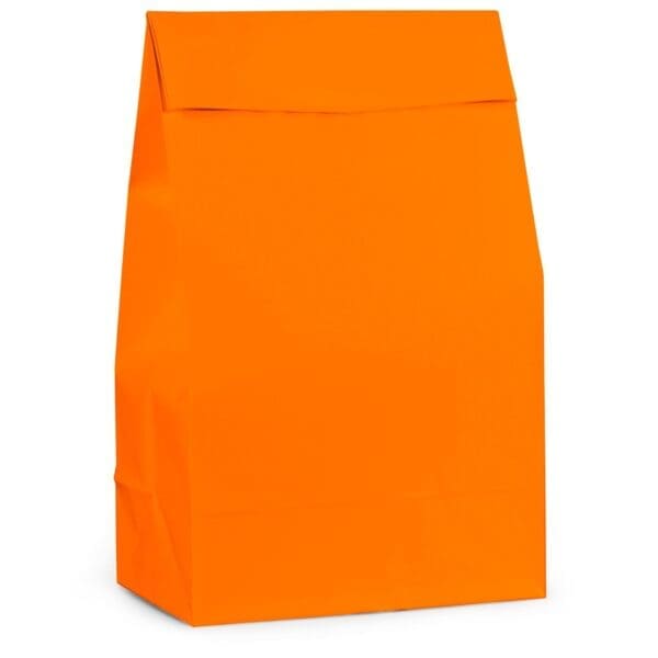 Orange Paper Favor Bags (12 Pack)