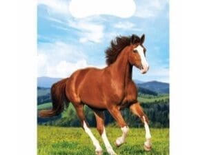 Wild Horse Favor Bag - Set of Eight