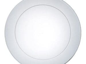 9' Plastic Party Plate Clear 30 Count