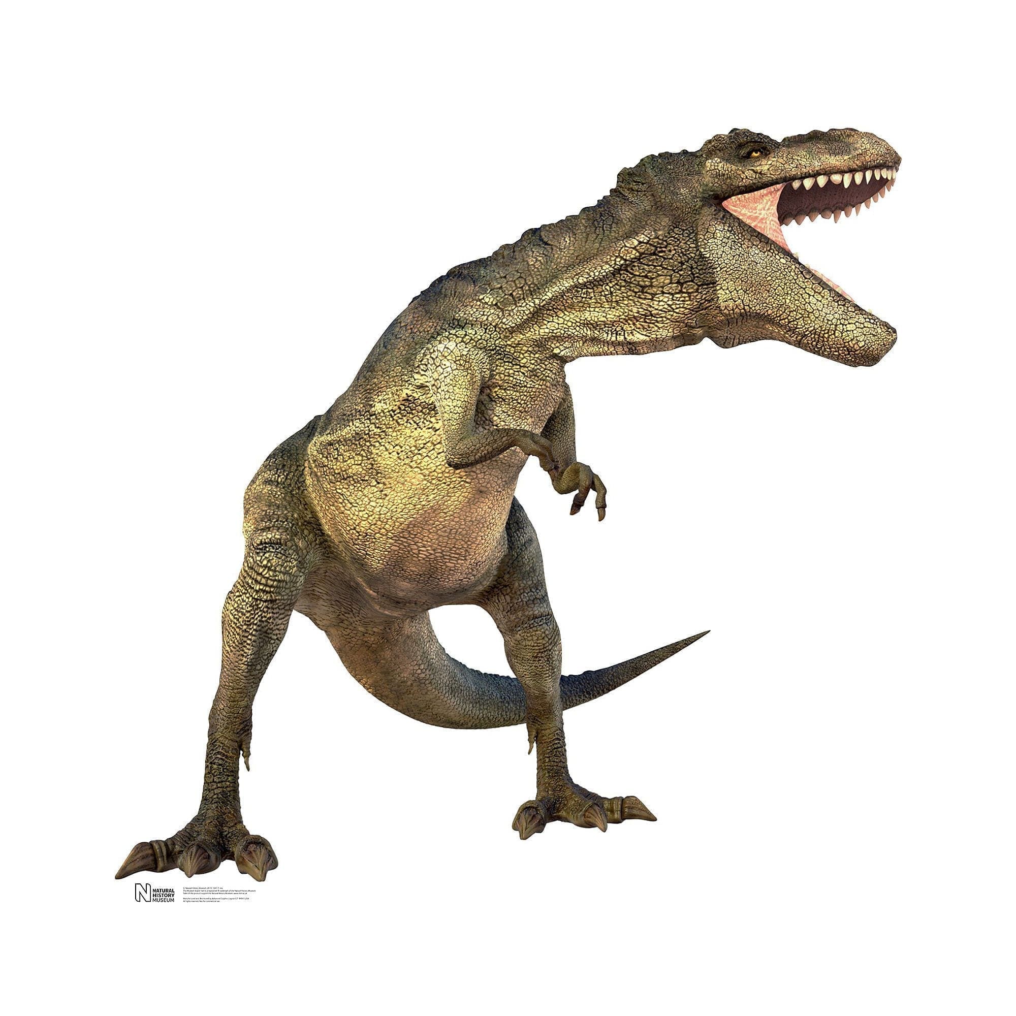 T Rex Standup, 5' Tall