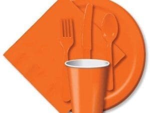 Sunkissed  9" Paper Plates - 24ct