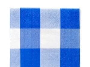 Blue & White Plaid Lunch Napkins 16ct Size Napkin