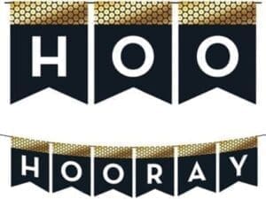 Black & Gold Sequin Hooray Pennant Banner