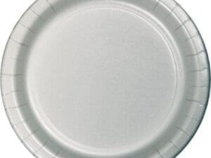Shimmering Silver Dinner Plates, 9", 24pk