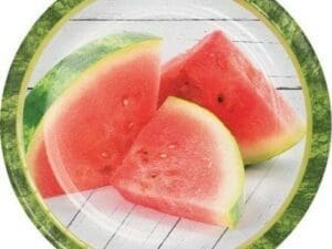 Watermelon Picnic Luncheon Plate
