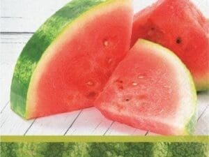 Watermelon Picnic Luncheon Napkin