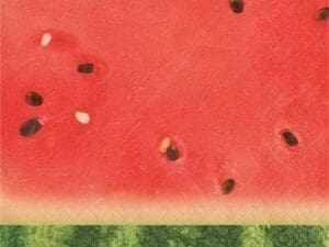 Watermelon Picnic Beverage Napkin