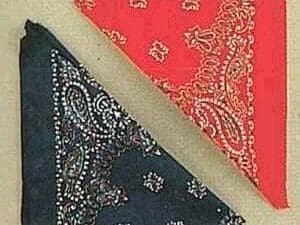 Bandana - Red Accessory