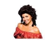 Southern Belle Brown Wig Rubies 50847