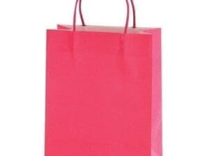 Pink Euro Medium Gift Bag Case Pack 60