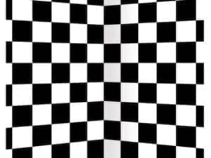 Checkered Backdrop