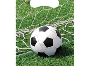 Sports Fanatic Soccer Party Favor Bag