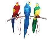 Feathered Parrots