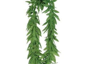 Tropical Fern Leaf Lei