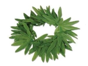 Tropical Fern Leaf Headband