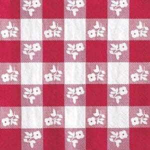 Red Gingham, Beverage Napkins, 18 Ct