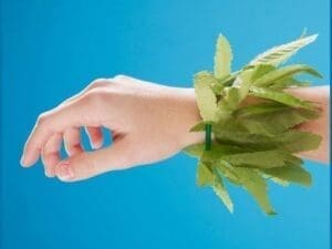 Tropical Fern Leaf Wristlet-Anklet