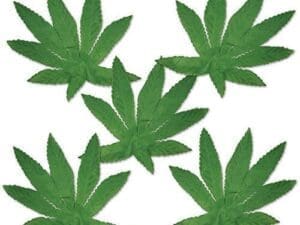 Tropical Fern Leaves, 4", Green