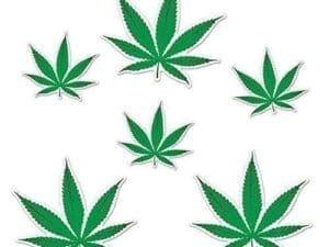 Tropical Fern Leaf Cutouts