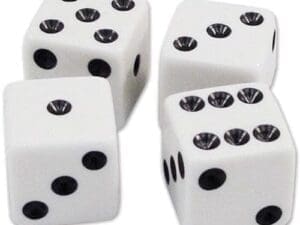 Dice Case of 24