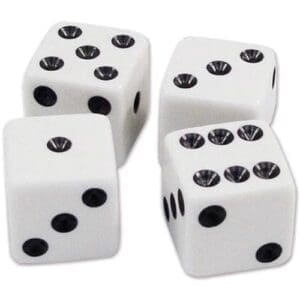 Dice Case of 24