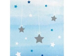 Little Star Boy Paper Treat Bags, 10-Pack