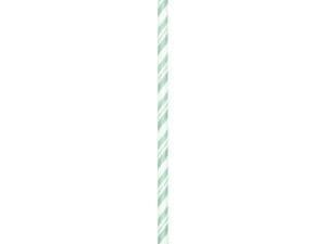 7 3/4 Jumbo Fresh Mint Paper Straws - 24/Pack