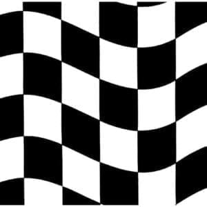 Checkered Lunch Napkins, Black/White, 18 Ct