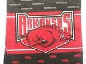 Arkansas Razorbacks Lunch Napkins