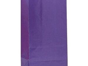 Purple Paper Favor Bags (12 Pack)