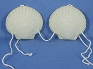 Shell Bra