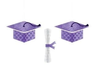 290118.106 School Colors Pride Graduation Cap & Diploma Honeycomb Hanging Decorations, Purple - Pack of 2