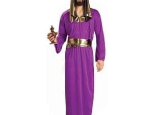 Forum Novelties Men's Biblical Times Wise Man Costume, Purple, One Size