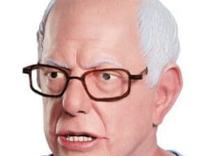 Disguise Bernie Sanders Deluxe Mask-One Size