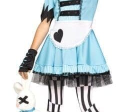 Wild Wonderland Teen Halloween Costume