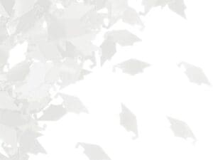 White Graduation Cap Confetti