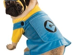 Despicable Me Minion Pet Costume, Medium
