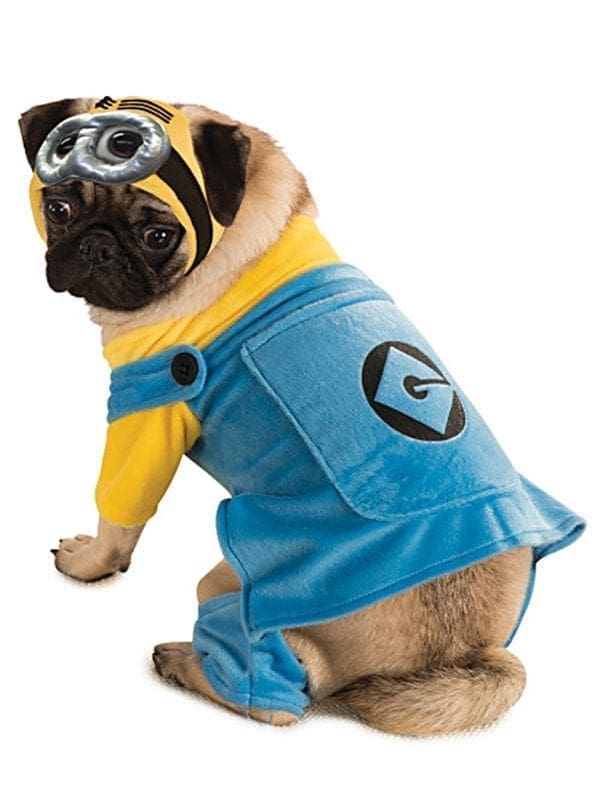Despicable Me Minion Pet Costume, Medium