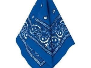 Blue Paisley Bandana, 20in X Royal/blue