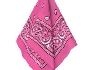 Pink Paisley Bandana, 20in X Pink