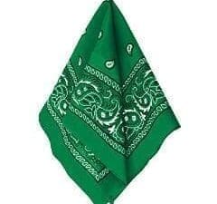 Green Paisley Bandana, 20in X Festive/green