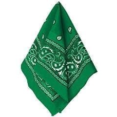Green Paisley Bandana, 20in X Festive/green