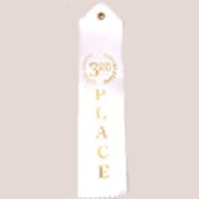 1900 3Rd Place Ribbons - Pack of 12