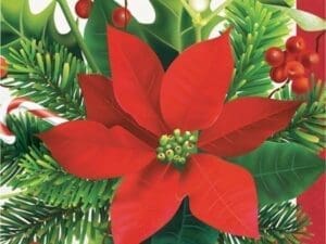 Holiday Poinsettia Paper Luncheon Napkins 16 Ct