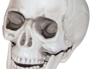 3 Inch Skull - Decorations by Spirit Halloween