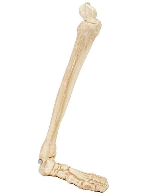 Crazy Bonez Skeleton Leg Bone Scary Halloween Decor Seasons - All